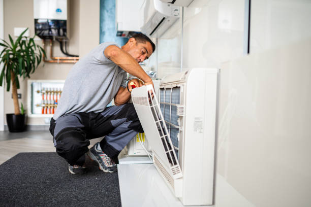 Best HVAC Maintenance and Cleaning  in Pinckneyvle, IL