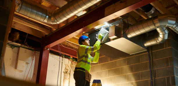 Best Ductwork Cleaning Services  in Pinckneyvle, IL