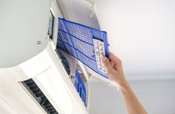 Best Affordable HVAC Duct Cleaning  in Pinckneyvle, IL