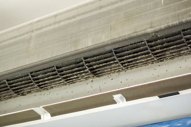 Best Commercial HVAC Duct Cleaning  in Pinckneyvle, IL