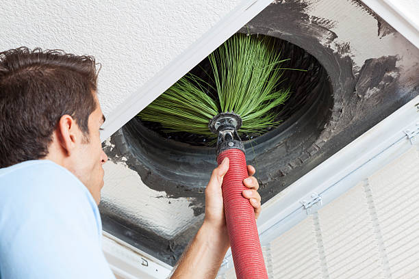 Best Emergency Air Duct Cleaning  in Pinckneyvle, IL
