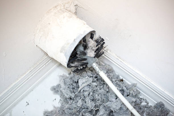 Best Affordable Air Duct Cleaning  in Pinckneyvle, IL