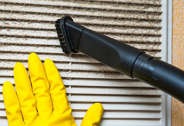 Best Professional Duct Cleaning Services  in Pinckneyvle, IL